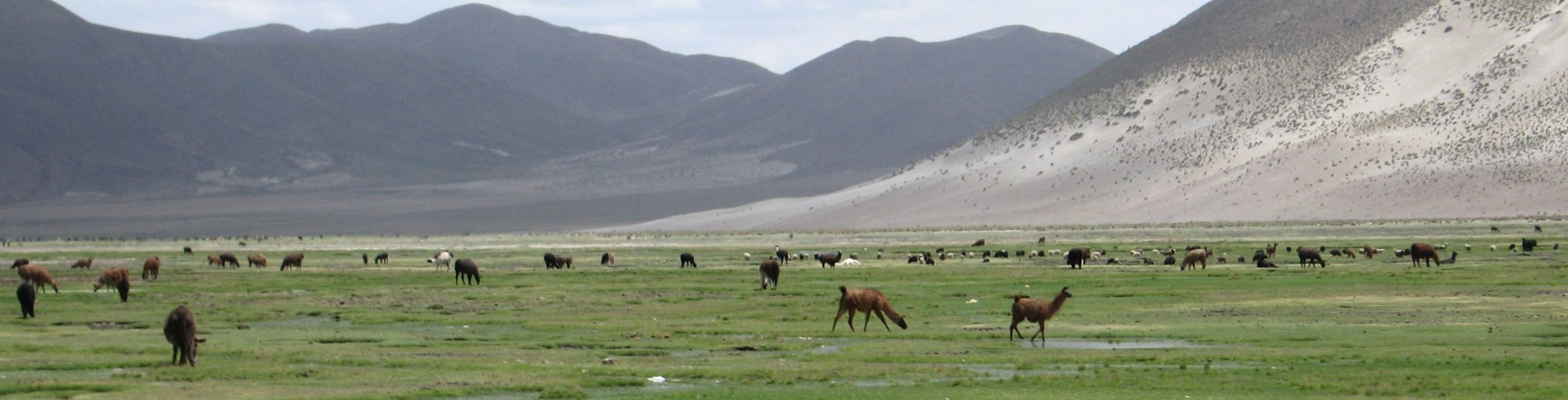 JBH Bolivien e.V.